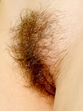 Hairy pussy amateur carmela
