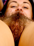 Hirsute amateur spreading bush